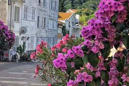 Turlamak için bahane paketleri