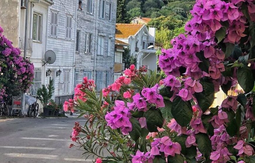 İstanbul Adalar Şile Ağva Polenezköy Turu