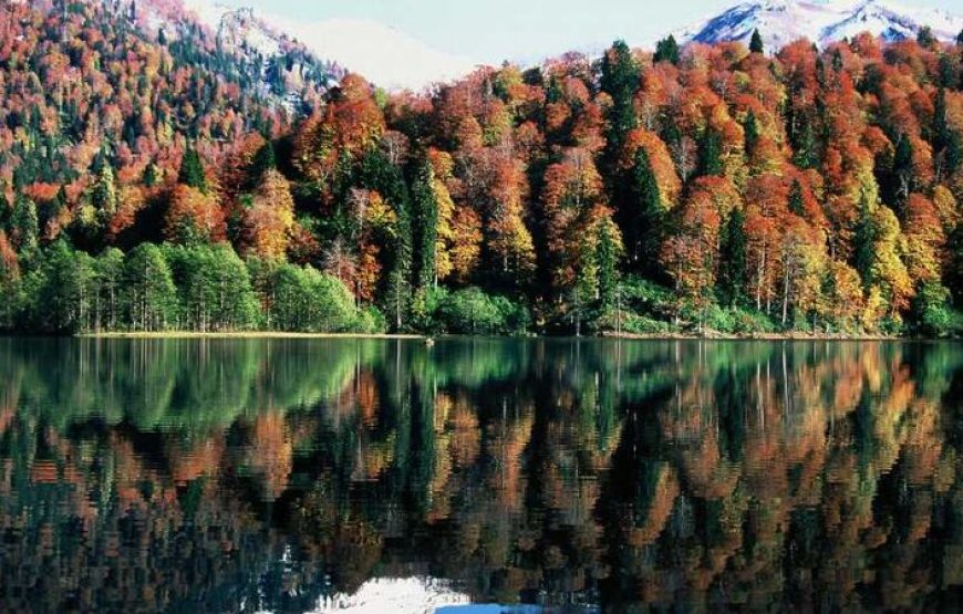 Uçaklı Karadeniz Yaylalar ve Batum Turu (5 Gün 4 Gece)